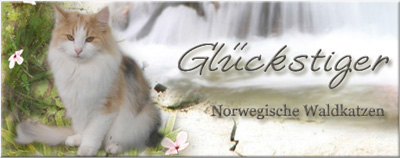 Glueckstiger