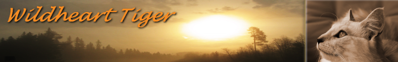 Wildheart_Banner